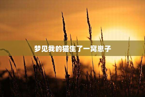 梦见我的猫生了一窝崽子