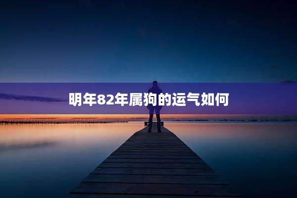 明年82年属狗的运气如何