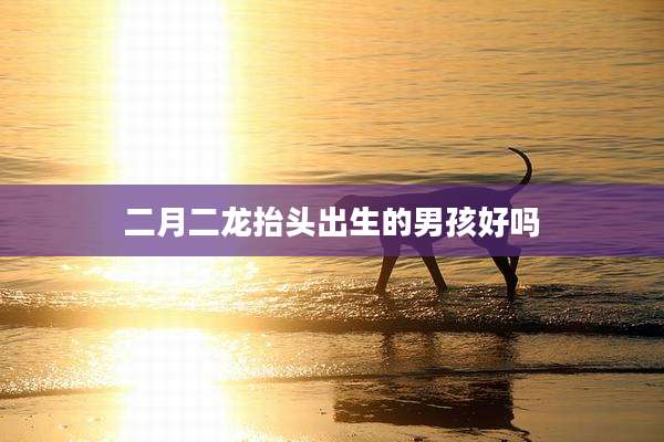 二月二龙抬头出生的男孩好吗