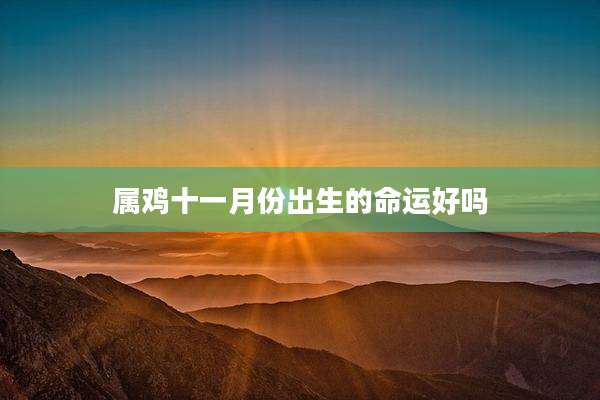 属鸡十一月份出生的命运好吗