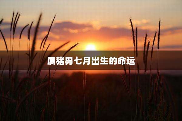属猪男七月出生的命运