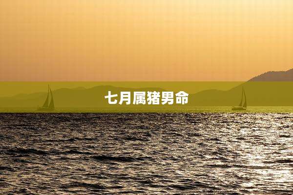 七月属猪男命