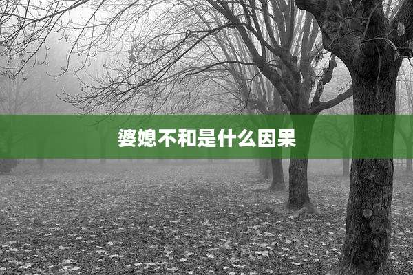 婆媳不和是什么因果