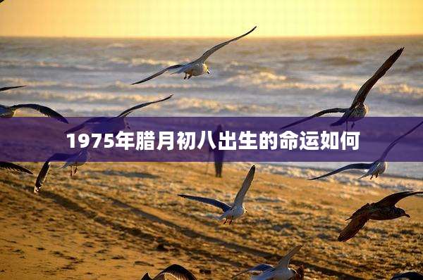 1975年腊月初八出生的命运如何