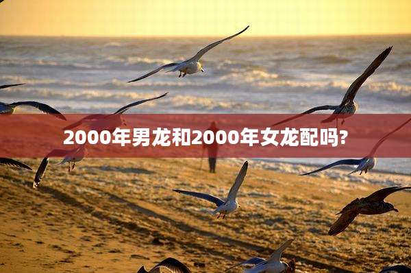 2000年男龙和2000年女龙配吗?