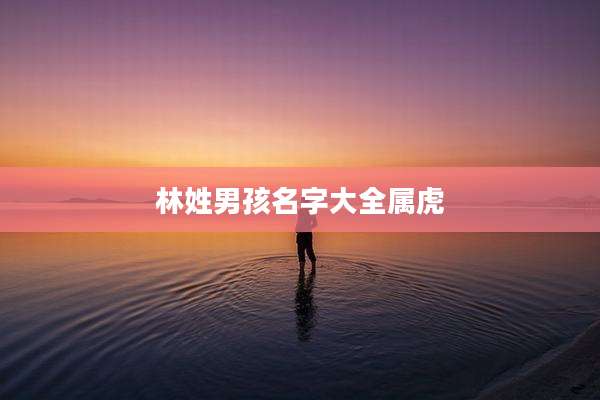 林姓男孩名字大全属虎