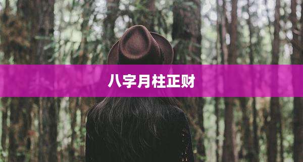 八字月柱正财