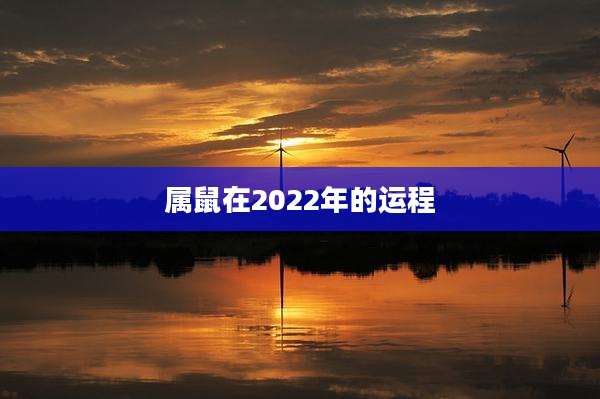 属鼠在2022年的运程