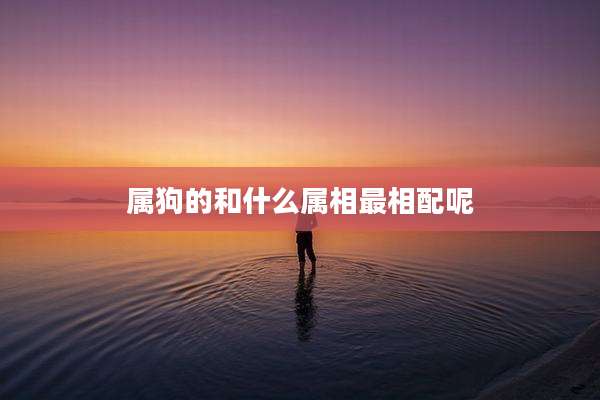 属狗的和什么属相最相配呢