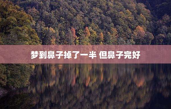 梦到鼻子掉了一半 但鼻子完好