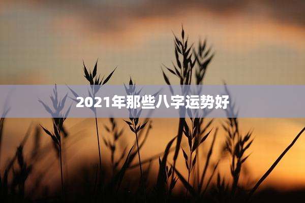 2021年那些八字运势好