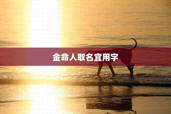 金命人取名宜用字