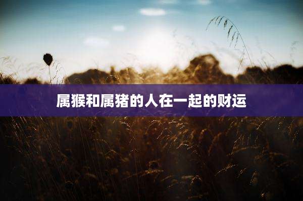 属猴和属猪的人在一起的财运