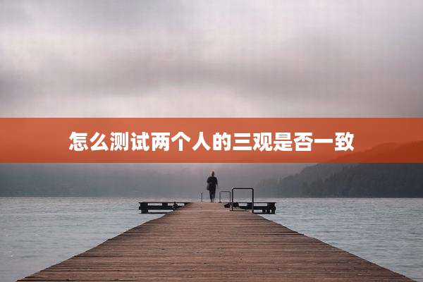 怎么测试两个人的三观是否一致
