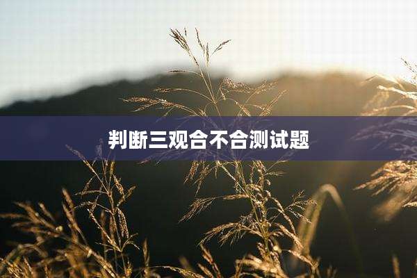 判断三观合不合测试题