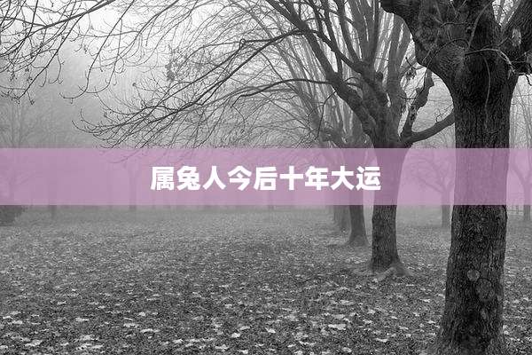 属兔人今后十年大运