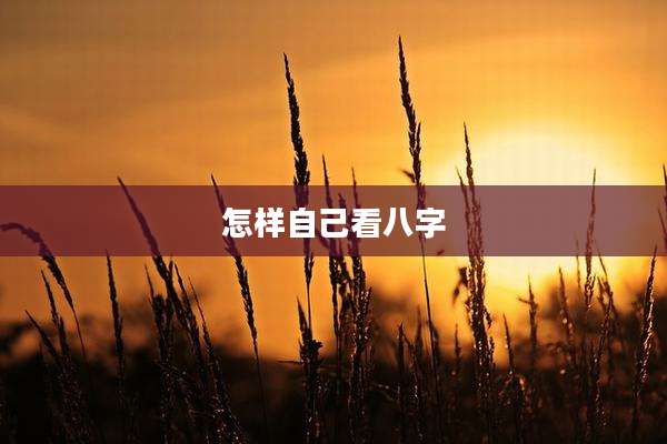 怎样自己看八字