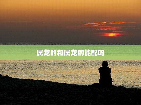 属龙的和属龙的能配吗