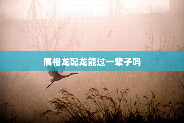 属相龙配龙能过一辈子吗