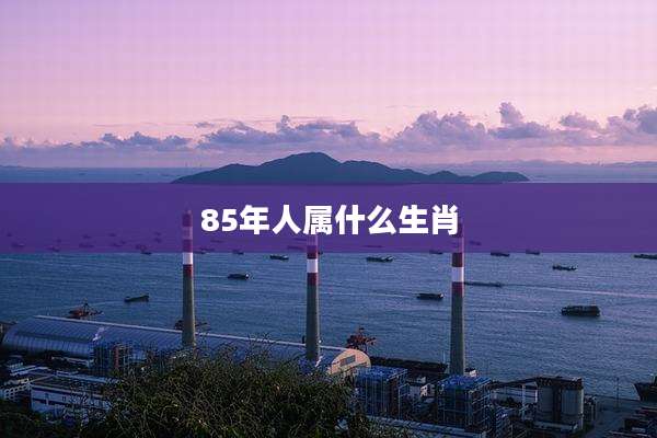 85年人属什么生肖