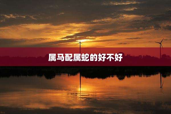 属马配属蛇的好不好
