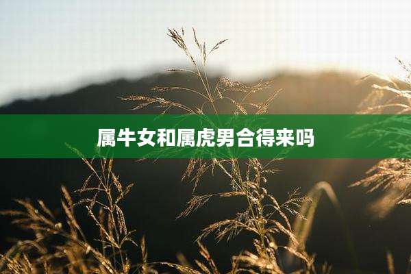 属牛女和属虎男合得来吗