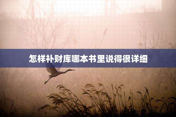 怎样补财库哪本书里说得很详细