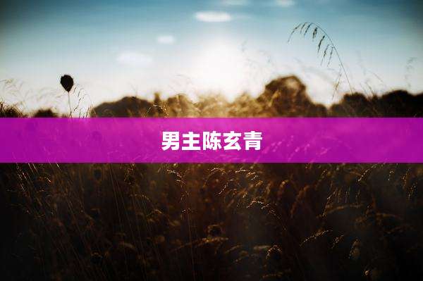 男主陈玄青