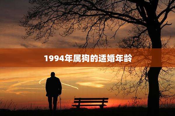1994年属狗的适婚年龄