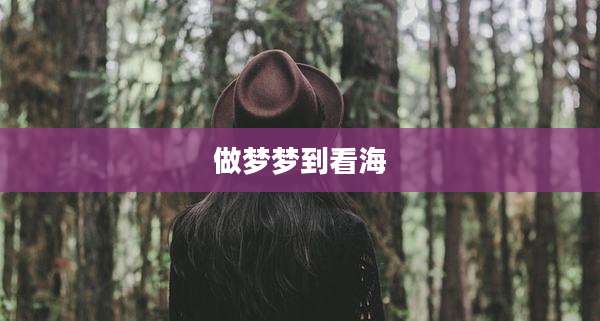 做梦梦到看海