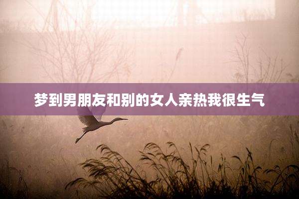 梦到男朋友和别的女人亲热我很生气
