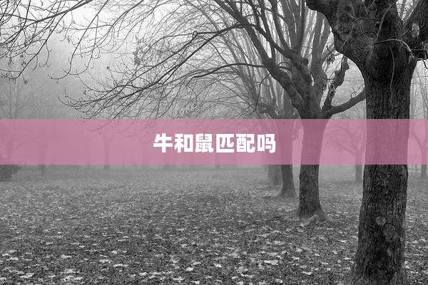 牛和鼠匹配吗