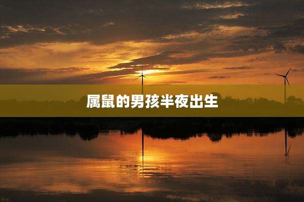 属鼠的男孩半夜出生