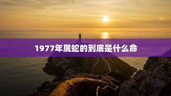 1977年属蛇的到底是什么命