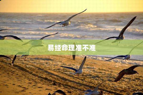 易经命理准不准