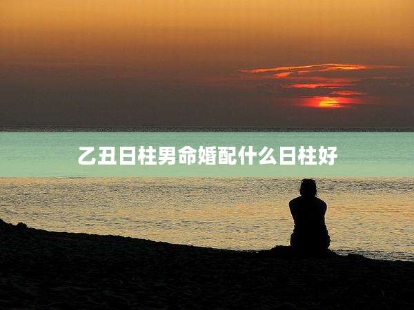 乙丑日柱男命婚配什么日柱好