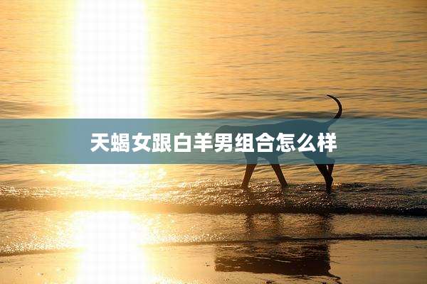 天蝎女跟白羊男组合怎么样