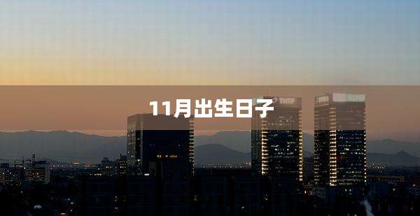 11月出生日子