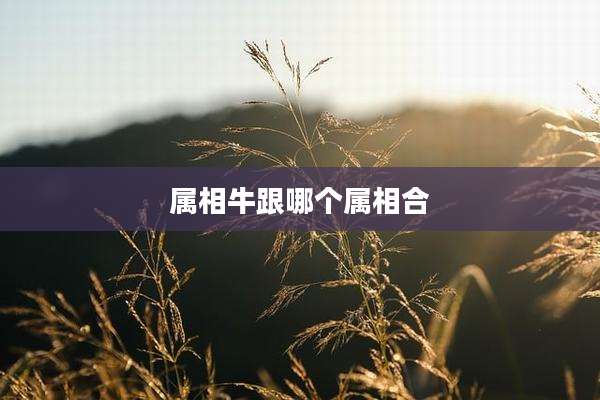 属相牛跟哪个属相合