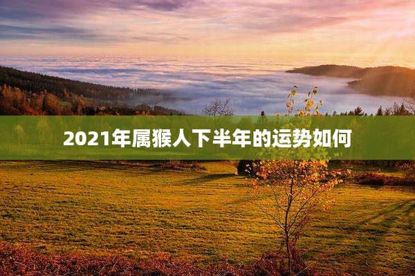 2021年属猴人下半年的运势如何