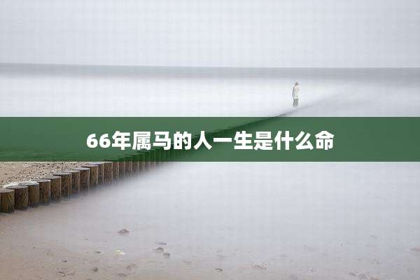 66年属马的人一生是什么命
