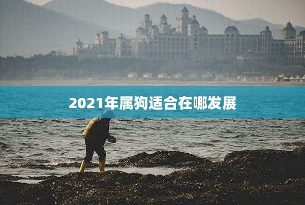 2021年属狗适合在哪发展