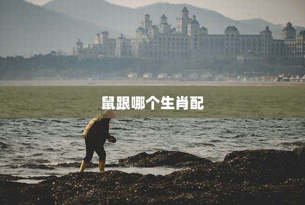 鼠跟哪个生肖配