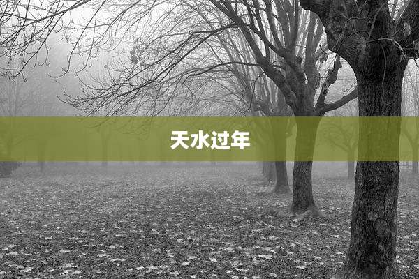 天水过年
