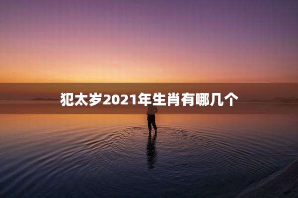 犯太岁2021年生肖有哪几个