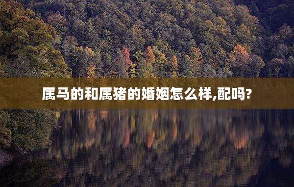 属马的和属猪的婚姻怎么样,配吗?