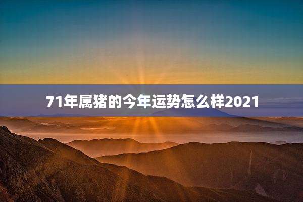 71年属猪的今年运势怎么样2021