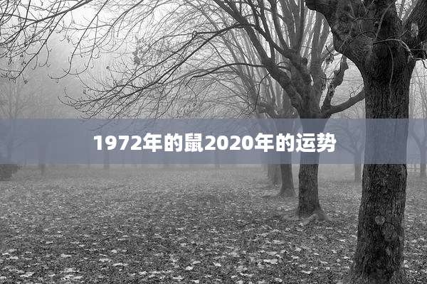 1972年的鼠2020年的运势