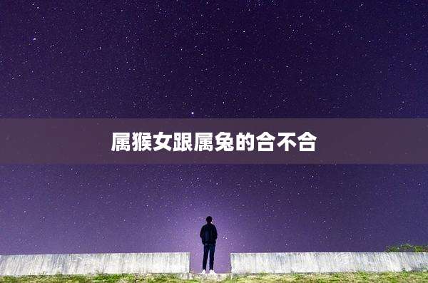 属猴女跟属兔的合不合