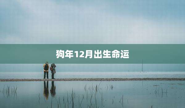狗年12月出生命运